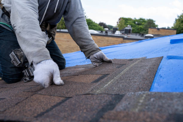Best Metal Roofing Contractor  in Oakes, ND