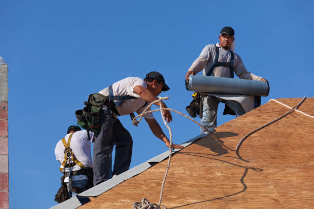 Best New Roof Installation  in Oakes, ND