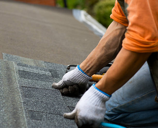 Best Roof Leak Repair  in Oakes, ND