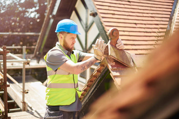 Best Shingle Roofing Installation  in Oakes, ND