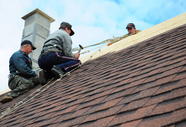 Best New Roof Installation  in Oakes, ND